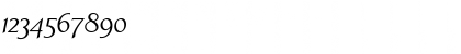 Download LTAperto Roman Italic Font Numeric Preview