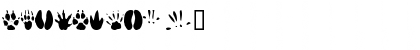 Download AnimalTracks Regular Font