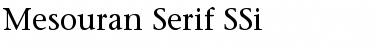 Download Mesouran Serif SSi Regular Font