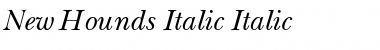 Download NewBaskerville Italic Font