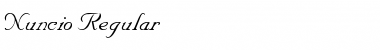 Download Nuncio Font Download Nuncio Font