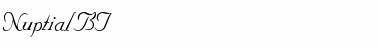Download Nuptial Font Download Nuptial Font