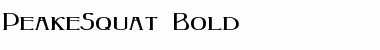 Download PeakeSquat Bold Font