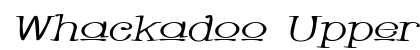 Whackadoo Upper Wide Italic