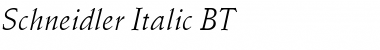 Download Schneidler BT Italic Font