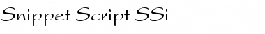 Download Snippet Script SSi Regular Font