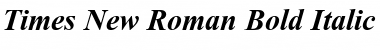 Download Times New Roman Bold Italic Font