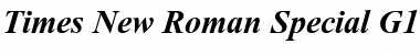 Download Times New Roman Special G1 Bold Italic Font