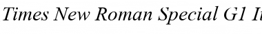 Download Times New Roman Special G1 Italic Font