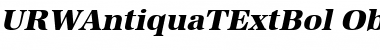 Download URWAntiquaTExtBol Oblique Font