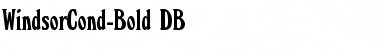 Download WindsorCond DB Font