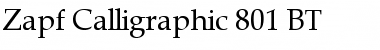 Download ZapfCalligr BT Roman Font