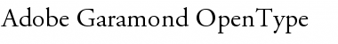 Download Adobe Garamond Font
