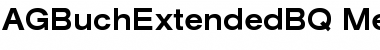Download AG Buch Extended BQ Font