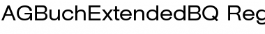 Download AG Buch Extended BQ Font