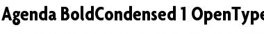 Download Agenda BoldCondensed Font
