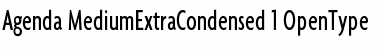 Download Agenda MediumExtraCondensed Font
