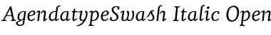 Download Agendatype Font