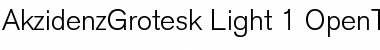 Download AkzidenzGrotesk Regular Font