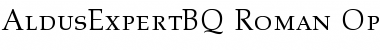 Download Aldus Expert BQ Font