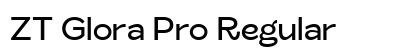 ZT Glora Pro Regular