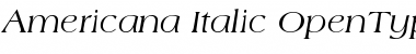 Download Americana Font