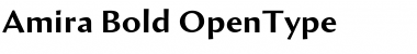 Download Amira Font