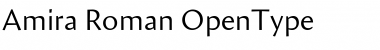 Download Amira Font