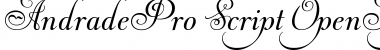 Download Andrade Pro Font