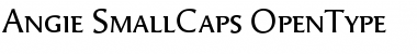 Download Angie Font
