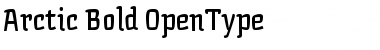 Download Arctic Font