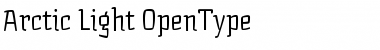 Download Arctic Font