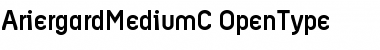 Download AriergardMediumC Font