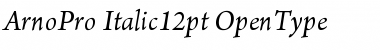 Download Arno Pro Italic 12pt Font