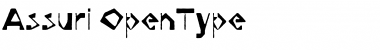 Download Assuri Font