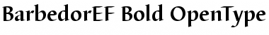 Download BarbedorEF Font