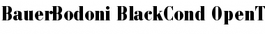 Download Bauer Bodoni Black Condensed Font