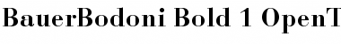 Download Bauer Bodoni Bold Font