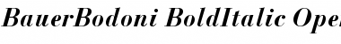 Download BauerBodoni Font