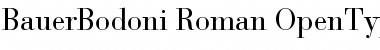 Download BauerBodoni Regular Font