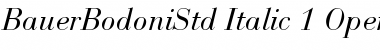 Download Bauer Bodoni Std 1 Font