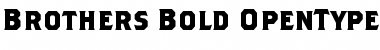 Download Brothers Bold Font