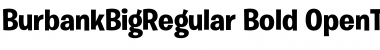 Download Burbank Big Regular Bold Font