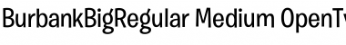 Download Burbank Big Regular Font