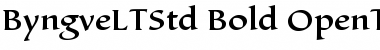 Download Byngve LT Std Bold Font