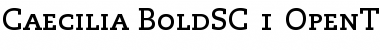 Download PMN Caecilia Font