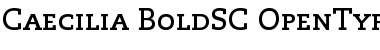 Download PMN Caecilia Font
