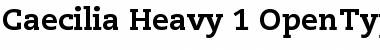 Download PMN Caecilia Font