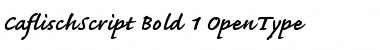 Download Caflisch Script Bold Font