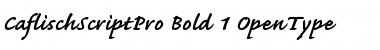Download Caflisch Script Pro Bold Font